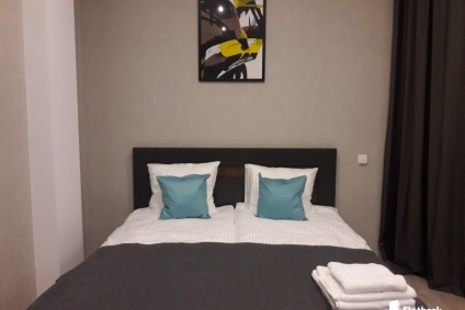 Стильные апартаменты в самом центре Бреста