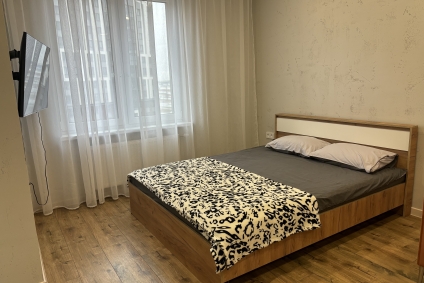 ул. Октябрьской Революции, 45, 4 этаж