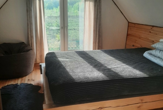 Солнечный домик в Беловежской пуще (цена договорная)